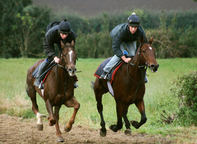 onthegallops